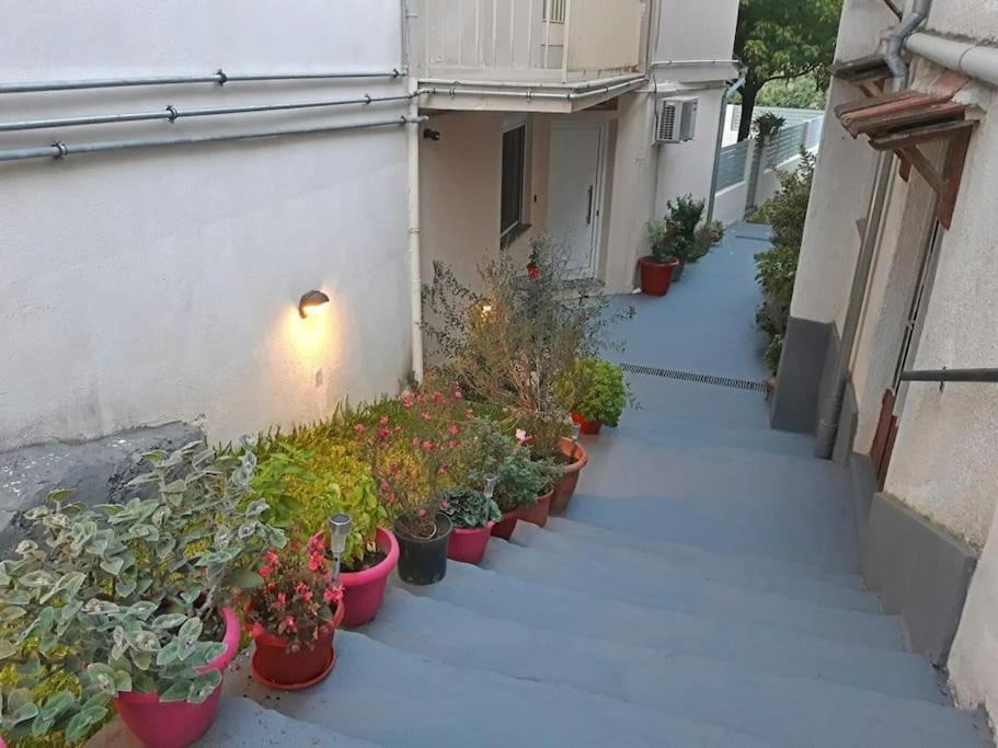 Magnolia Apartment
